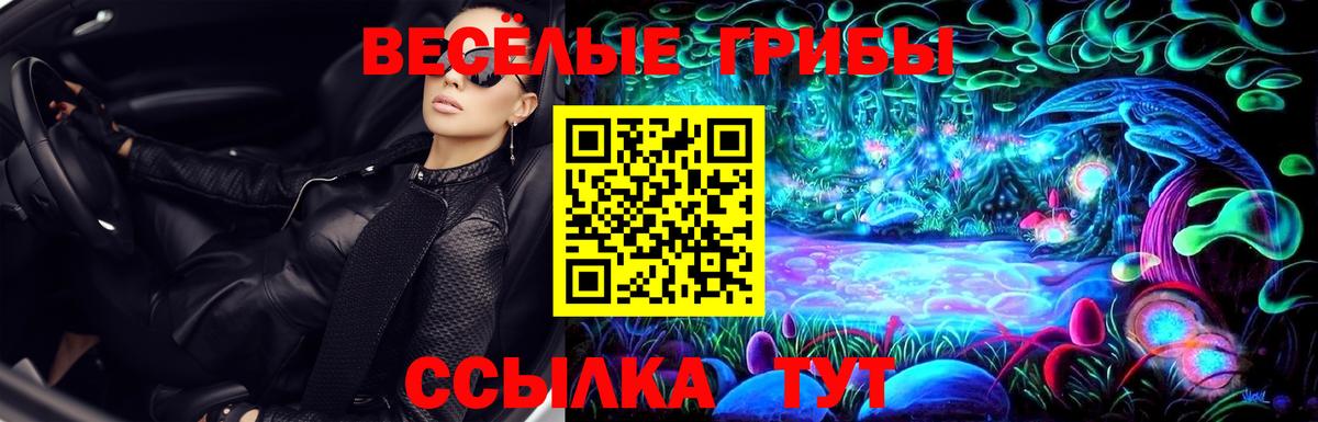 Камень-на-Оби  Галлюциногенные грибы мухоморы  Вход с VPN  Галлюциногенные грибы мухоморы 
